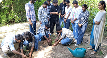 Tree-Plantation